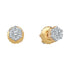10k Yellow Gold Round Diamond Flower Cluster Screwback Stud Earrings 1/6 Cttw - Gold Americas
