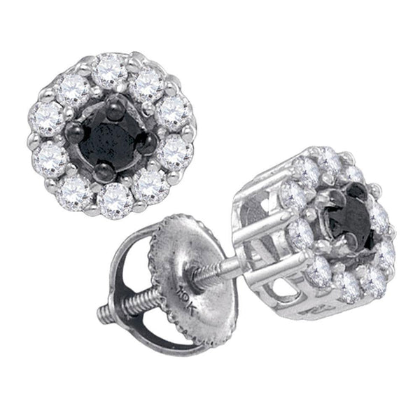 10K White Gold Round Black Color Enhanced Diamond Solitaire Stud Earrings 1/2 Cttw - Gold Americas