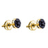 10K Yellow Gold Round Black Color Enhanced Diamond Flower Cluster Screwback Earrings 3/8 Cttw - Gold Americas
