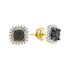 10K Yellow Gold Round Black Color Enhanced Diamond Solitaire Earrings 1-7/8 Cttw