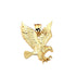 10K Yellow Gold  9.00 Grams Golden Eagle Fashion Pendent - Jawa Jewelers